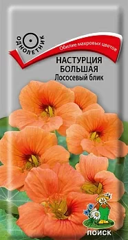 Настурция большая Лососевый блик 
