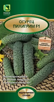 Огурец Пилигрим F1 