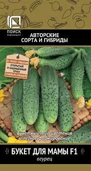Огурец Букет для мамы F1 