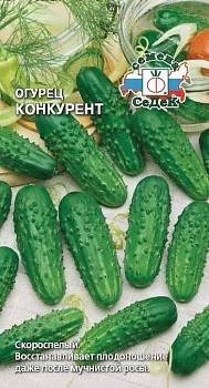 Огурец Конкурент