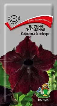 Петуния гибридная Софистика Блекберри