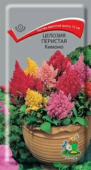 Целозия перистая Кимоно 