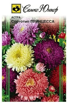 Астра Принцесса (смесь)