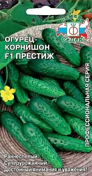 Огурец-корнишон Престиж F1