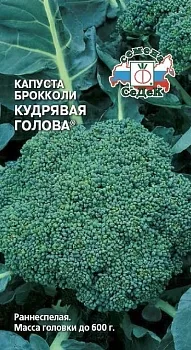 Капуста брокколи Кудрявая Голова