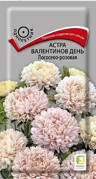 Астра Валентинов день Лососево-розовая