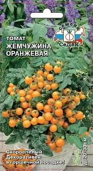 Томат Жемчужина Оранжевая