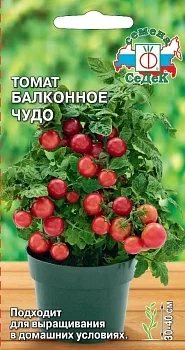 Томат Балконное Чудо (СеДек)