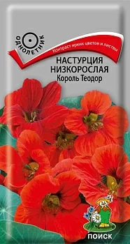 Настурция низкорослая Король Теодор