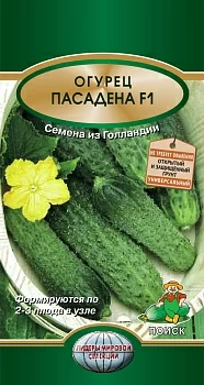 Огурец Пасадена F1 