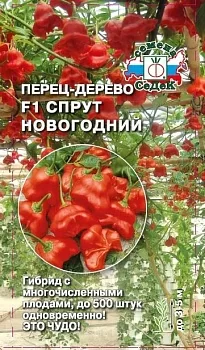Перец-дерево Спрут Новогодний F1
