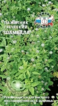 Пажитник греческий Шамбала