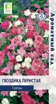 Гвоздика перистая Грезы (Поиск)