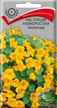 Настурция низкорослая Золотой шар 