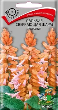 Сальвия сверкающая Шарм Лососевая 