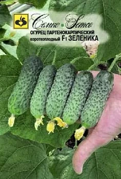 Огурец Зеленика F1