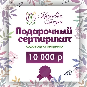 Подарочный сертификат 10000 р.