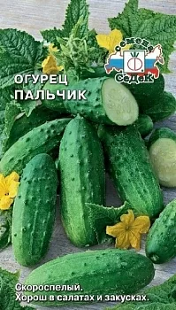 Огурец Пальчик