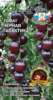 Томат Черная Галактика