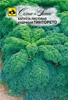 Капуста листовая кудрявая Тинторето