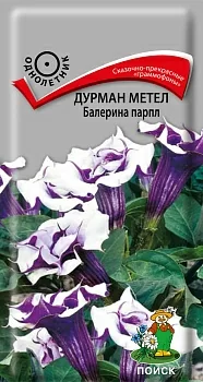 Дурман метел Балерина парпл 