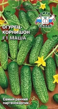 Огурец-корнишон Маша F1 (СеДек)