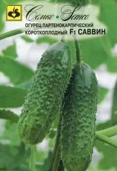 Огурец Саввин F1