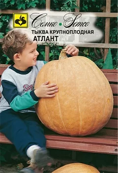 Тыква крупноплодная Атлант (Семко)