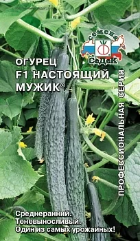 Огурец F1 Настоящий Мужик®