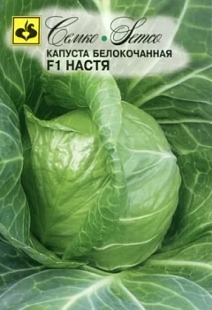 Капуста белокочанная Настя F1 (Семко)