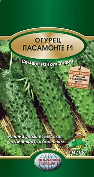 Огурец Пасамонте F1 (Поиск)