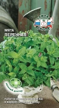 Мята Перечная