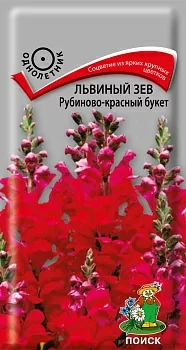 Львиный зев (Антирринум) Рубиново-Красный букет