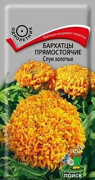 Бархатцы прямостоячие Спун золотые (Поиск)