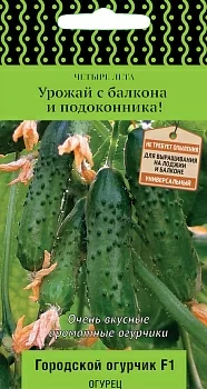 Огурец Городской огурчик F1 