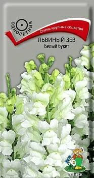 Львиный зев (Антирринум) Белый букет 