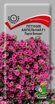 Петуния ампельная F1 Парпл Вельвет 