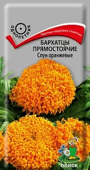 Бархатцы прямостоячие Спун оранжевые (Поиск)