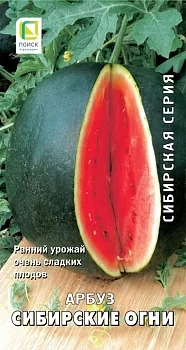 Арбуз Сибирские огни (сиб.серия)