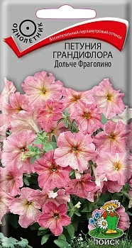 Петуния грандифлора Дольче Фраголино 