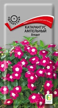 Катарантус ампельный Атлант