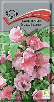 Бальзамин Том Самб розовый (Поиск)