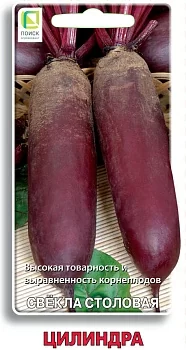 Свекла столовая Цилиндра (Поиск)
