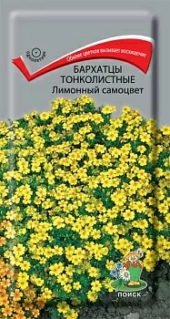 Бархатцы (Тагетес) тонколистные Лимонный самоцвет