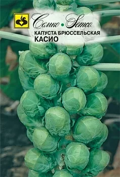 Капуста брюссельская Касио (Семко)