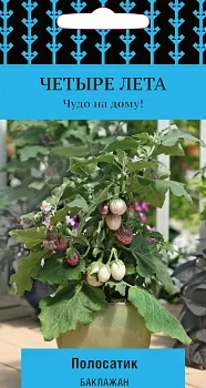 Баклажан Полосатик 