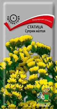 Статица (выемчатая) Суприм жёлтая