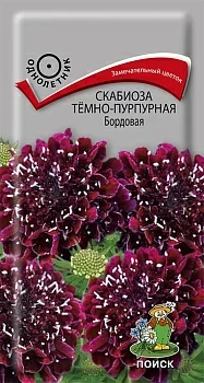 Скабиоза темно-пурпурная Бордовая 