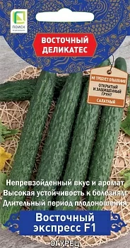 Огурец Восточный экспресс F1