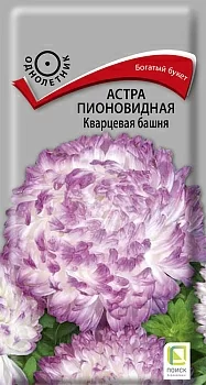 Астра пионовидная Кварцевая башня